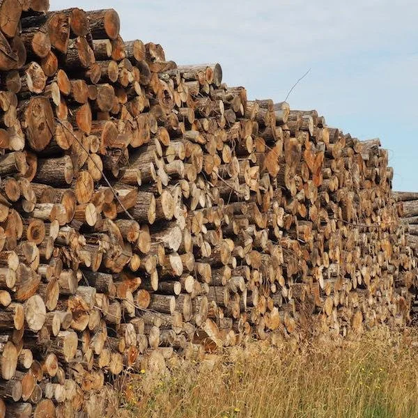 Camion de bois en grume – Hêtre, Chêne, Charme – 30 stères