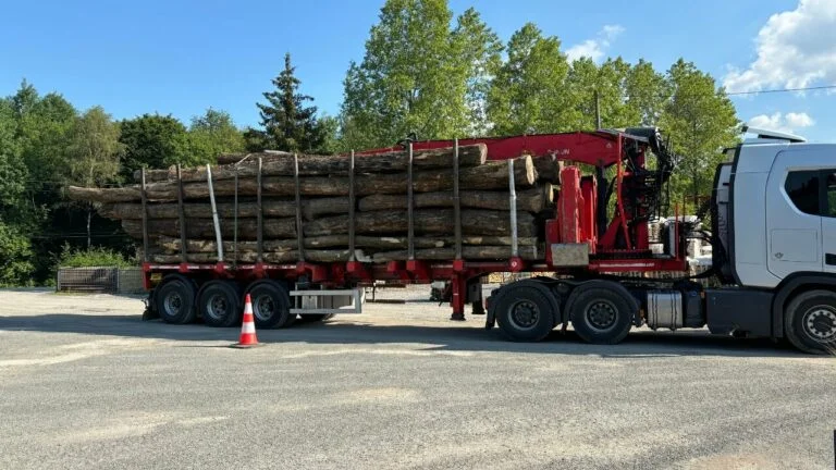 Grume de bois de chêne en camion 40 m³. Approvisionnement premium pour scieries et professionnels. Qualité optimale et forte disponibilité.