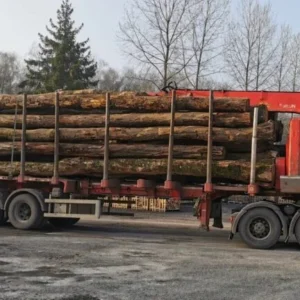 GRUME DE BOIS DE TECK 1 CAMION DE 40M3
