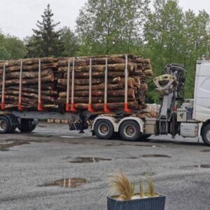 Camion de bois en grume – Hêtre, Chêne, Charme – 50 stères